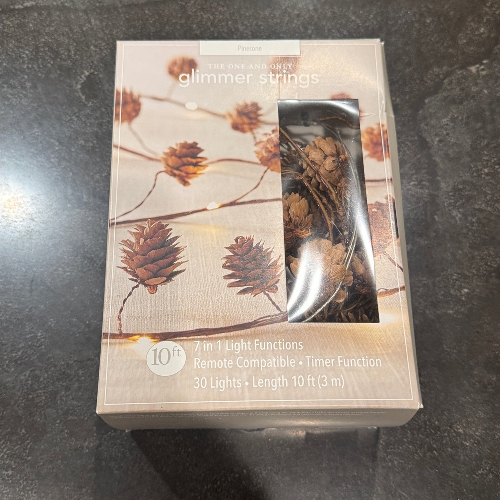Pier 1 Pinecone Glimmer Strings Lights - Brown